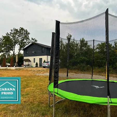 Cabana Priod Coronini Pescari Exterior foto