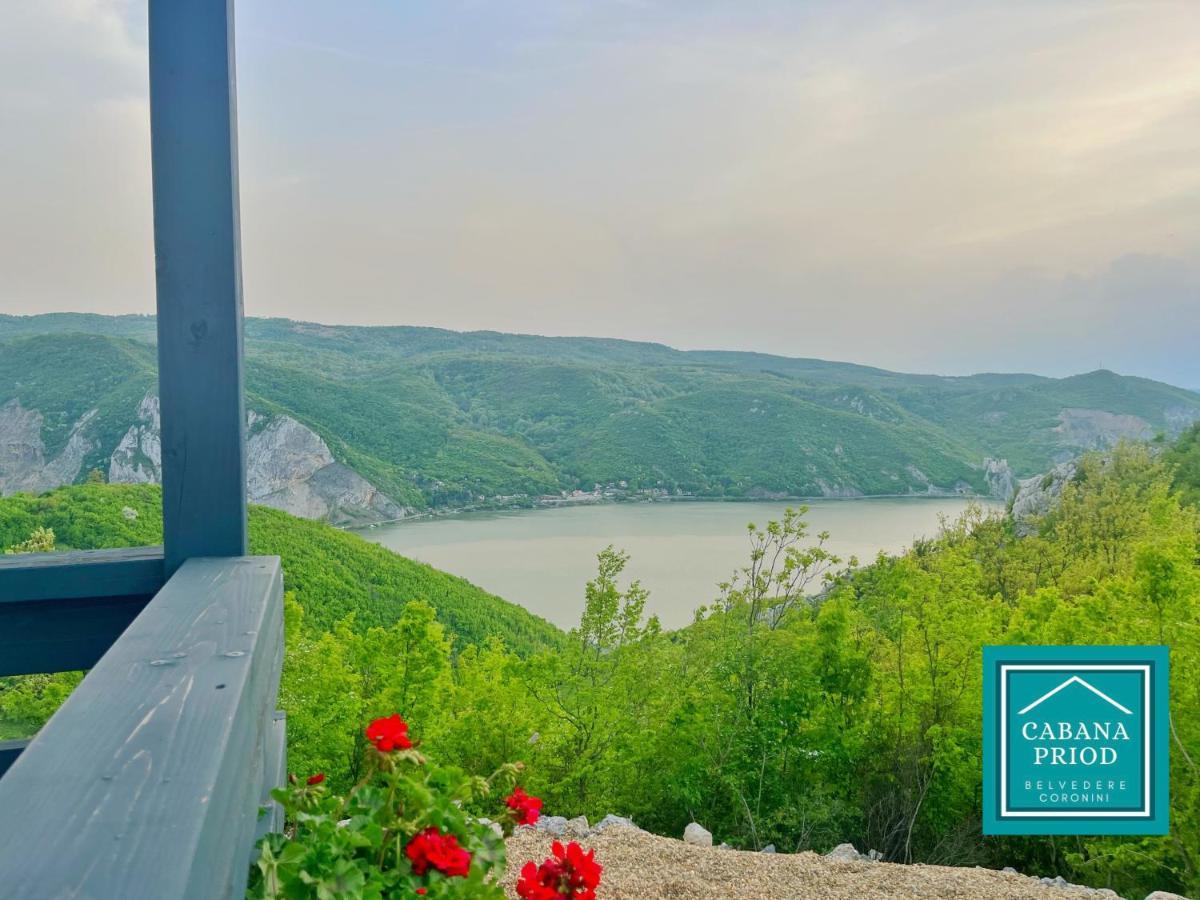 Priod Coronini Villa Pescari